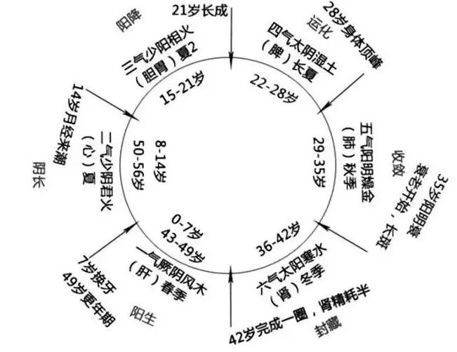 ​女人绝经后该怎么调理保养？女人，你一定要懂得这2个至简法则。