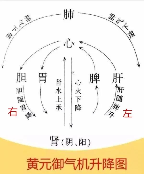中医基础第二版15：调气，治病关键所在（下）