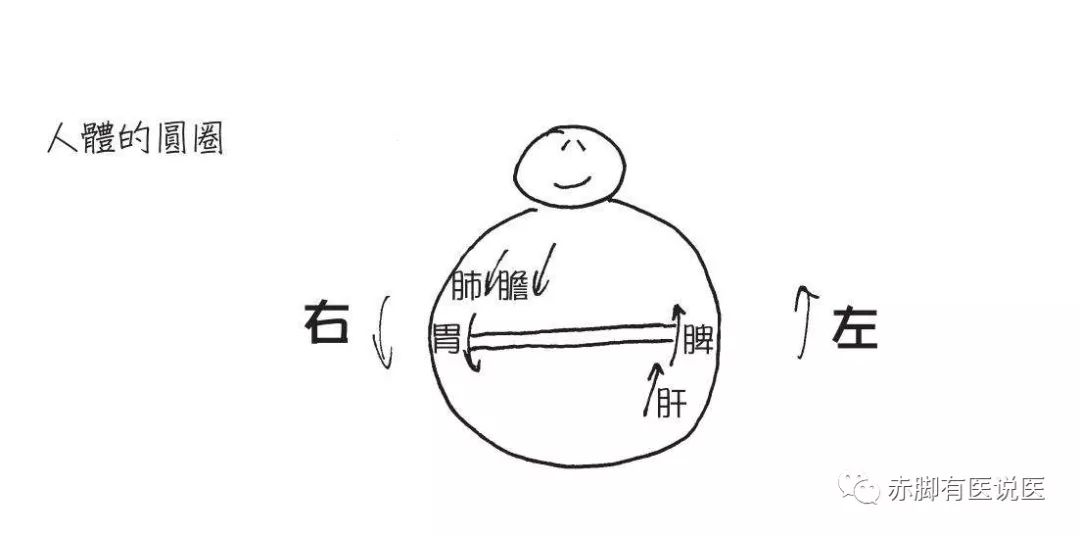 中医基础第二版11：养好脾胃，百病不生！（下）