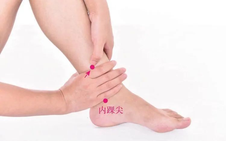 中医基础第二版07：肝脏好不好，看这6点