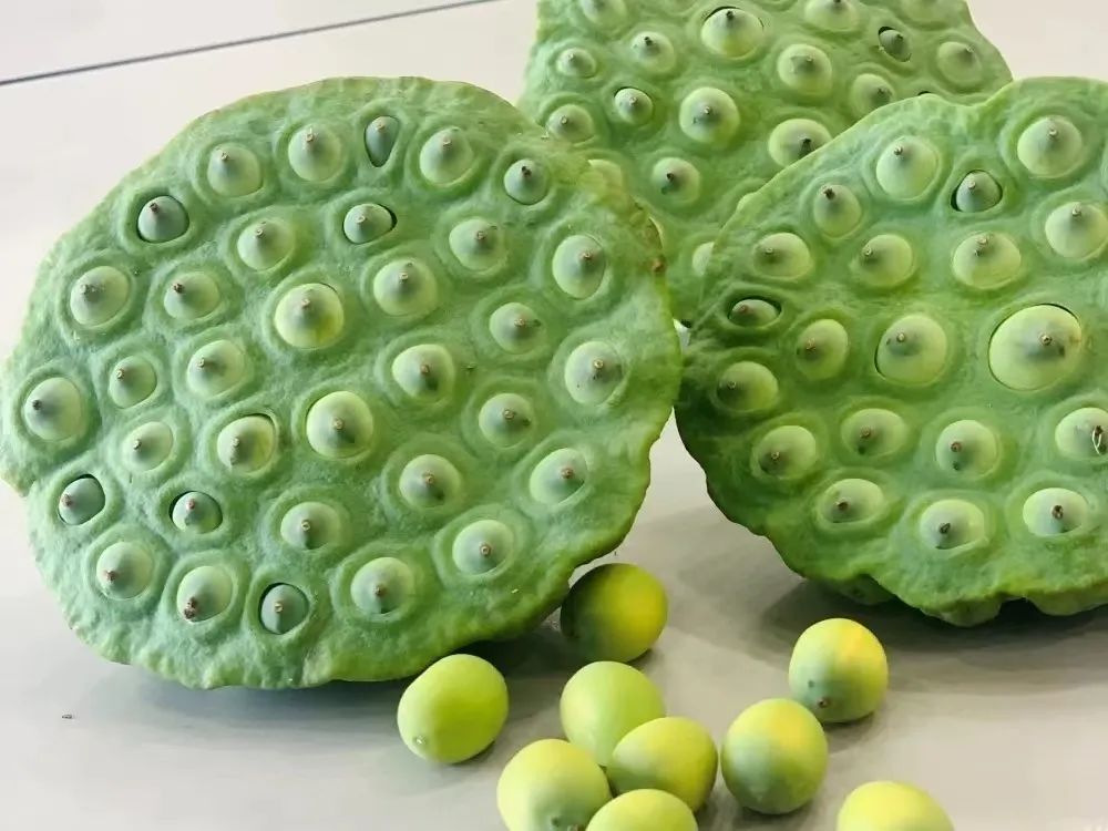 莲子是个宝，补脾安神尤其好
