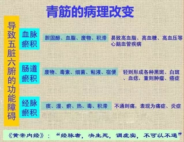 常见的一些部位长青筋的诊断！
