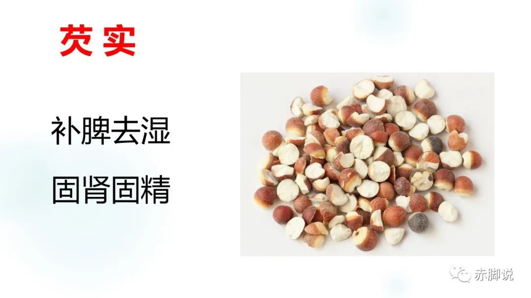 芡实：补肾强于山药，祛湿胜于赤小豆，一个被埋没的养生佳品。