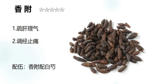 香附是一种叫做莎(suo)草植物