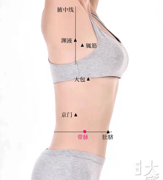 白带用完带汤，黄带用易黄汤，白中带血用清带汤。