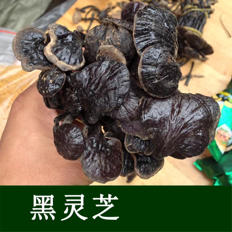 灵芝能保养五脏，尤其是对肝脏好。。。