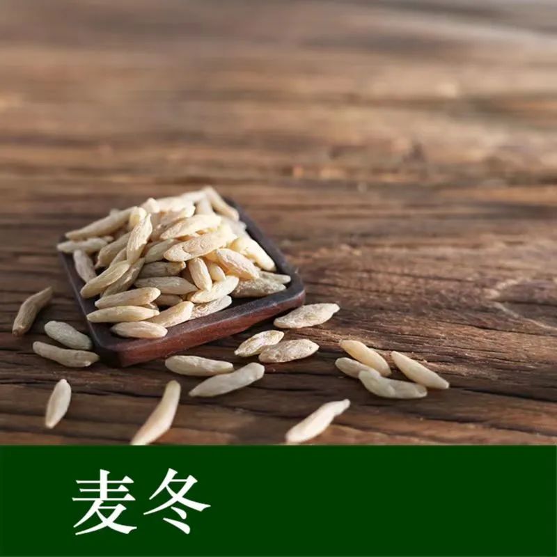 麦冬：咽干口燥的救星，补充身体水分的一把好手