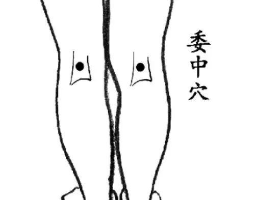 委中穴
